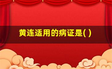 黄连适用的病证是( )